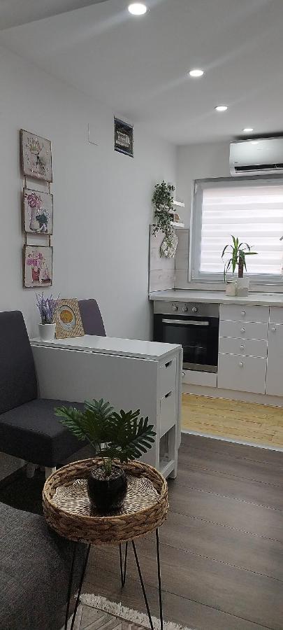 Queen Apartmancic Zaječar Zewnętrze zdjęcie
